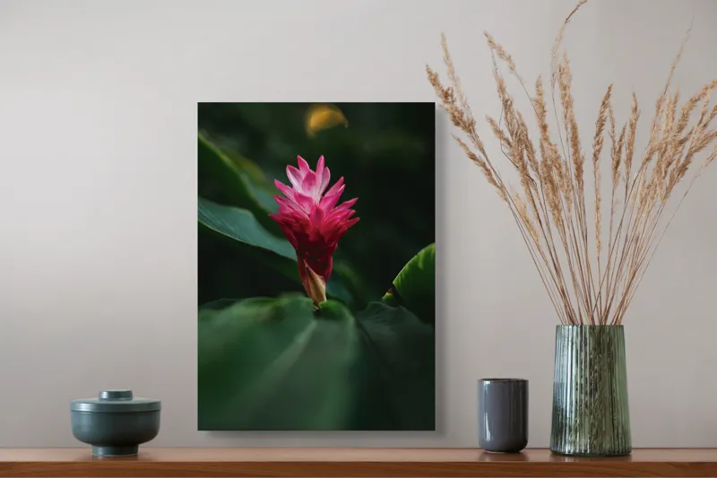 Tablou Canvas, "Floare exotică în amurg verde", Floare, Exotica, Roz, Frunze, Verde, Lumina, Mister, Contrast, Frumusete, Eleganta, 39 x 54 cm – poza 3