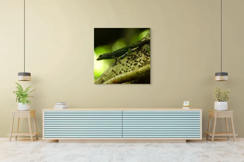 Tablou Canvas, "Șopârla verde pe trunchiul copacului", 100 x 100 cm – poza 5