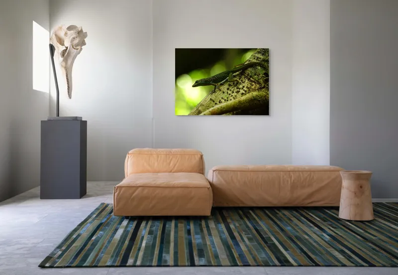 Tablou Canvas, "Șopârla verde pe trunchiul copacului", 100 x 70 cm – poza 7