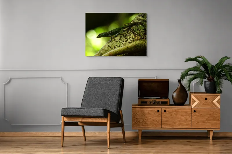 Tablou Canvas, "Șopârla verde pe trunchiul copacului", 100 x 70 cm – poza 8