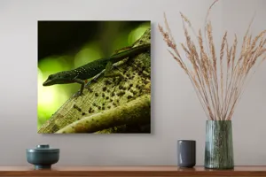 Tablou Canvas, "Șopârla verde pe trunchiul copacului", 50 x 50 cm – poza 4