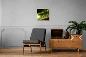 Tablou Canvas, "Șopârla verde pe trunchiul copacului", 50 x 50 cm – poza 6