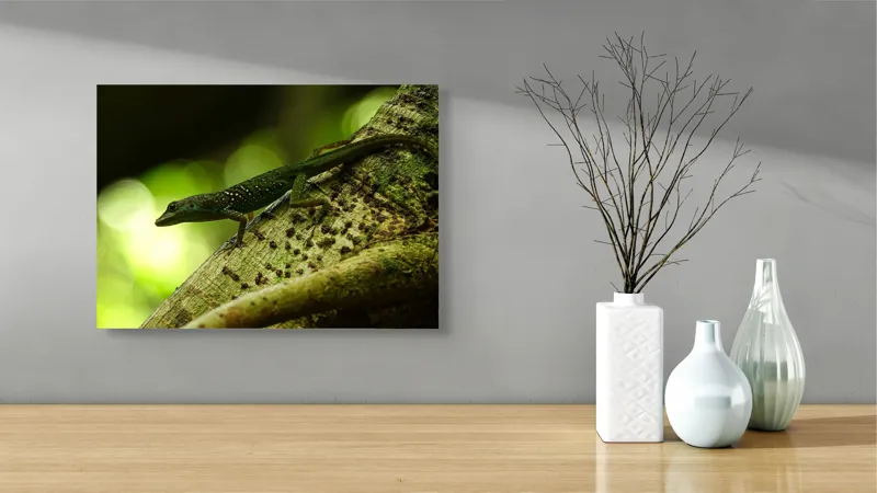 Tablou Canvas, "Șopârla verde pe trunchiul copacului", 54 x 39 cm – poza 3