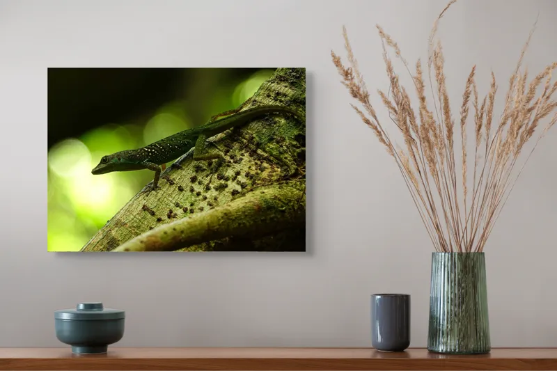 Tablou Canvas, "Șopârla verde pe trunchiul copacului", 54 x 39 cm – poza 4