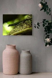 Tablou Canvas, "Șopârla verde pe trunchiul copacului", 54 x 39 cm – poza 8