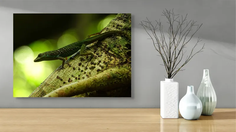 Tablou Canvas, "Șopârla verde pe trunchiul copacului", 70 x 50 cm – poza 3