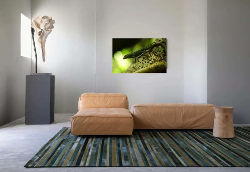 Tablou Canvas, "Șopârla verde pe trunchiul copacului", 90 x 50 cm – poza 8