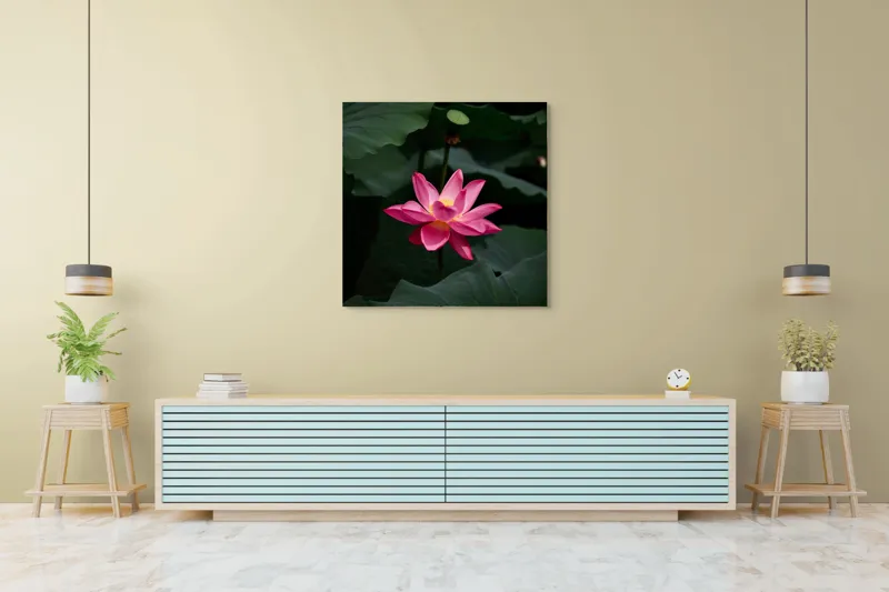Tablou Canvas, "Floare de lotus în lumină blândă", Floare, Lotus, Roz, Frunze, Verde, Natură, Eleganță, Frumusețe, 100 x 100 cm – poza 5