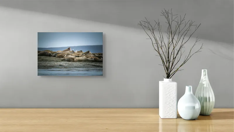 Tablou Canvas, "Odihna morselor pe țărm stâncos", Loialitate, Odihnă, Armonie, Ocean, Walrusi, Temperatură, Relaxare, Peisaj, 39 x 26 cm – poza 8