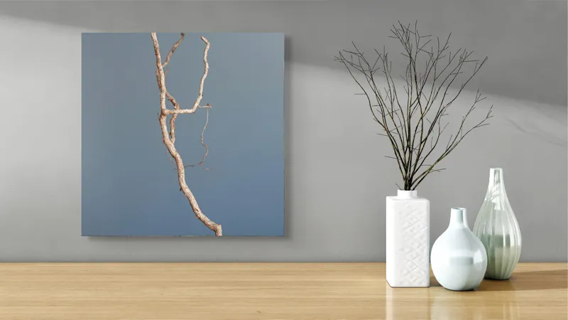 Tablou Canvas, "Dansul crengii sub cer senin", Răsucire, Minimalism, Natură, Textură, Simplitate, Contrast, Subtilitate, Eleganță, 50 x 50 cm – poza 3