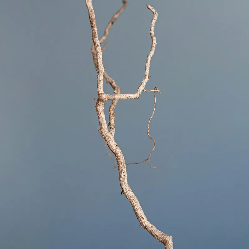 Tablou Canvas, "Dansul crengii sub cer senin", Răsucire, Minimalism, Natură, Textură, Simplitate, Contrast, Subtilitate, Eleganță, 50 x 50 cm – poza 2