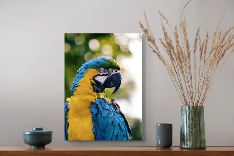 Tablou Canvas, "Papagalul tropical în culori strălucitoare", Papagal, Colorat, Frumos, Pene, Exotice, Strălucitoare, Peisaj, Verde, Bokeh, Natură, 39 x 54 cm – poza 3