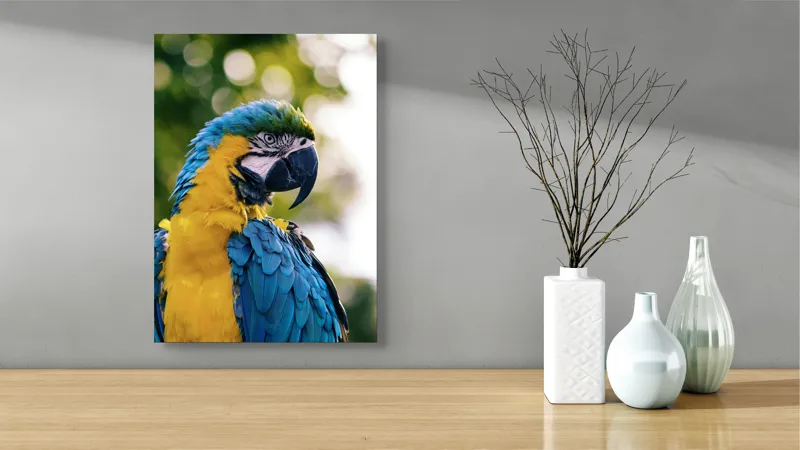 Tablou Canvas, "Papagalul tropical în culori strălucitoare", Papagal, Colorat, Frumos, Pene, Exotice, Strălucitoare, Peisaj, Verde, Bokeh, Natură, 39 x 54 cm – poza 4