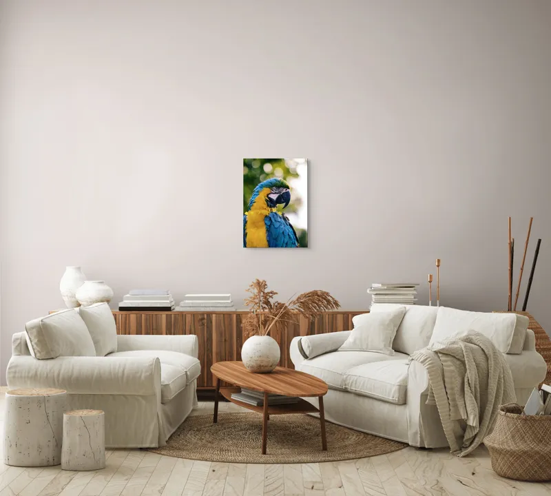 Tablou Canvas, "Papagalul tropical în culori strălucitoare", Papagal, Colorat, Frumos, Pene, Exotice, Strălucitoare, Peisaj, Verde, Bokeh, Natură, 39 x 54 cm – poza 5
