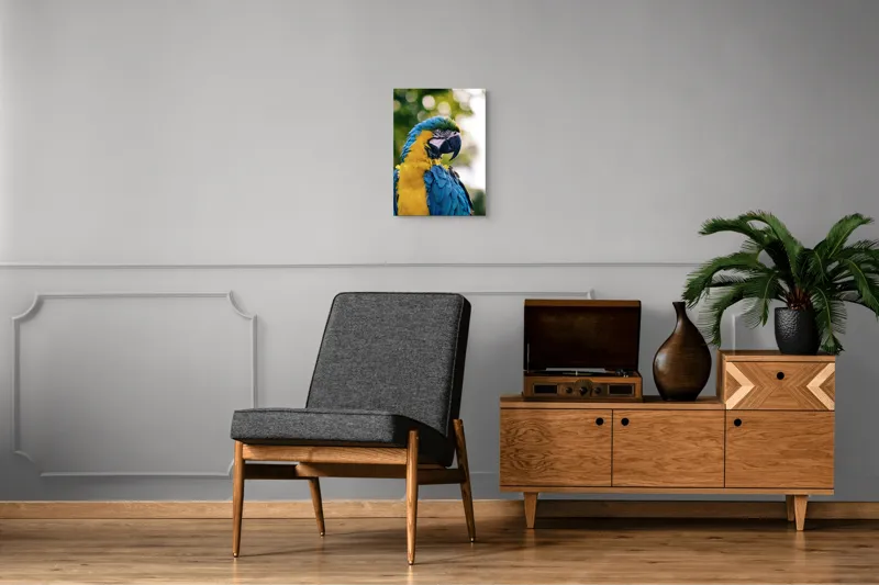 Tablou Canvas, "Papagalul tropical în culori strălucitoare", Papagal, Colorat, Frumos, Pene, Exotice, Strălucitoare, Peisaj, Verde, Bokeh, Natură, 39 x 54 cm – poza 8