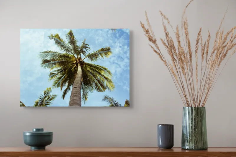 Tablou Canvas, "Povestea înaltului palmier tropical", Palmier, Cer, Frunze, Vară, Zare, Tropice, Verde, Albastru, 54 x 39 cm – poza 4