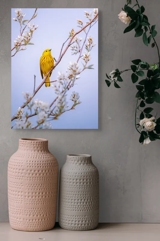 Tablou Canvas, "Pasărea galbenă printre flori albe", Pasăre, Galbenă, Ramură, Flori, Delicatețe, Primăvară, Natură, Seninătate, Armonie, 39 x 54 cm – poza 6