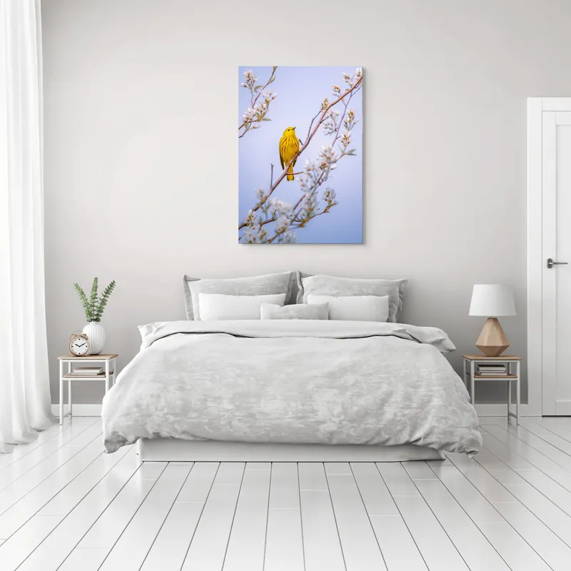 Tablou Canvas, "Pasărea galbenă printre flori albe", Pasăre, Galbenă, Ramură, Flori, Delicatețe, Primăvară, Natură, Seninătate, Armonie, 70 x 100 cm – poza 3