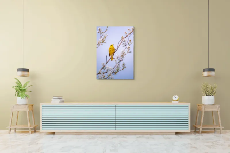 Tablou Canvas, "Pasărea galbenă printre flori albe", Pasăre, Galbenă, Ramură, Flori, Delicatețe, Primăvară, Natură, Seninătate, Armonie, 70 x 100 cm – poza 5