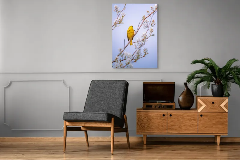 Tablou Canvas, "Pasărea galbenă printre flori albe", Pasăre, Galbenă, Ramură, Flori, Delicatețe, Primăvară, Natură, Seninătate, Armonie, 70 x 100 cm – poza 6