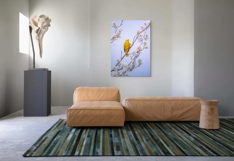 Tablou Canvas, "Pasărea galbenă printre flori albe", Pasăre, Galbenă, Ramură, Flori, Delicatețe, Primăvară, Natură, Seninătate, Armonie, 70 x 100 cm – poza 7