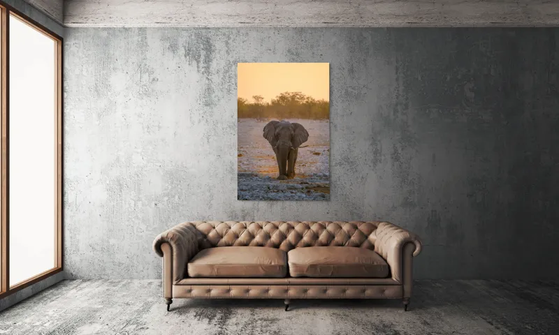 Tablou Canvas, "Elefantul în lumina apusului african", Elefant, Apus, Savana, Tranquilitate, Natură, Eleganță, Solitudine, Serenitate, 100 x 150 cm – poza 6