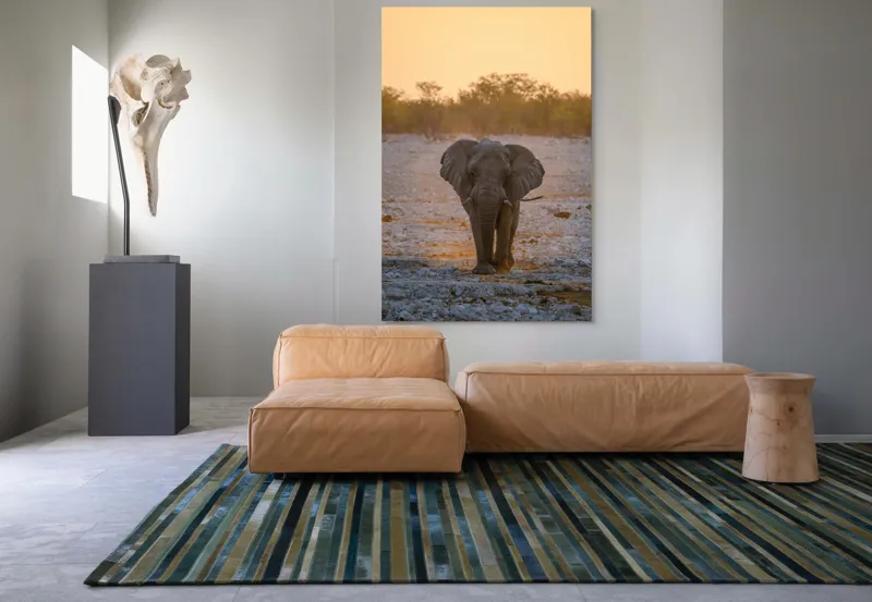Tablou Canvas, "Elefantul în lumina apusului african", Elefant, Apus, Savana, Tranquilitate, Natură, Eleganță, Solitudine, Serenitate, 100 x 150 cm – poza 7