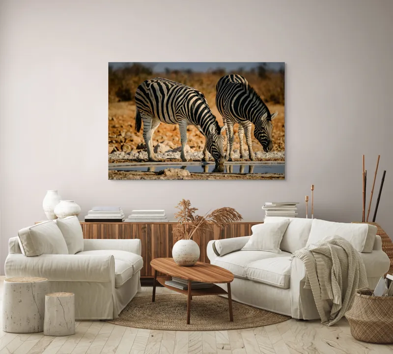 Tablou Canvas, "Zebre la adăpat în savană", Dungi, Zebre, Apă, Oglindire, Serenitate, Natură, Armonie, Safari, Africa, Asfințit, 150 x 100 cm – poza 3