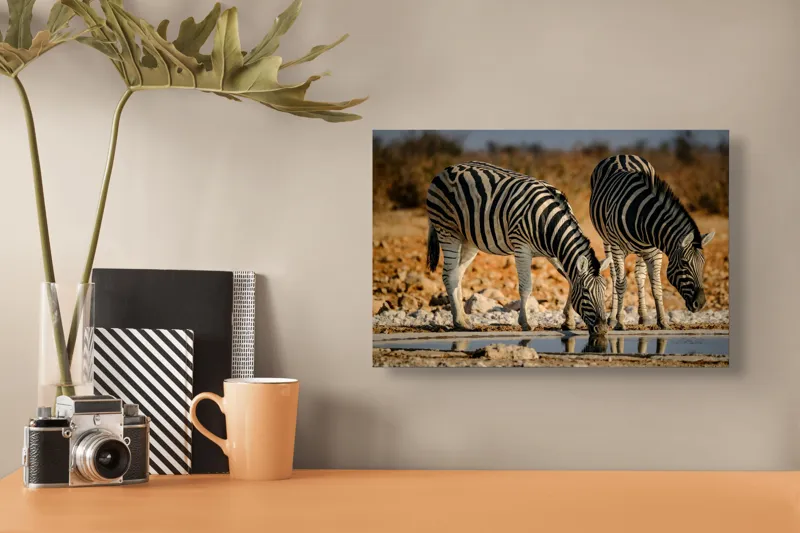 Tablou Canvas, "Zebre la adăpat în savană", Dungi, Zebre, Apă, Oglindire, Serenitate, Natură, Armonie, Safari, Africa, Asfințit, 39 x 26 cm – poza 3