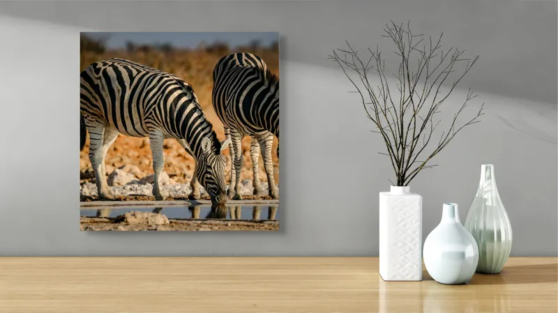 Tablou Canvas, "Zebre la adăpat în savană", Dungi, Zebre, Apă, Oglindire, Serenitate, Natură, Armonie, Safari, Africa, Asfințit, 50 x 50 cm – poza 3