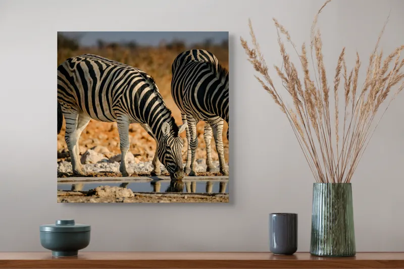 Tablou Canvas, "Zebre la adăpat în savană", Dungi, Zebre, Apă, Oglindire, Serenitate, Natură, Armonie, Safari, Africa, Asfințit, 50 x 50 cm – poza 4