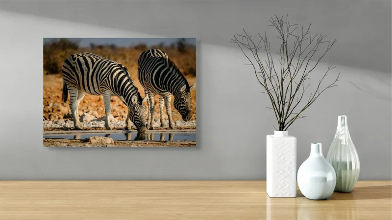 Tablou Canvas, "Zebre la adăpat în savană", Dungi, Zebre, Apă, Oglindire, Serenitate, Natură, Armonie, Safari, Africa, Asfințit, 54 x 39 cm – poza 3
