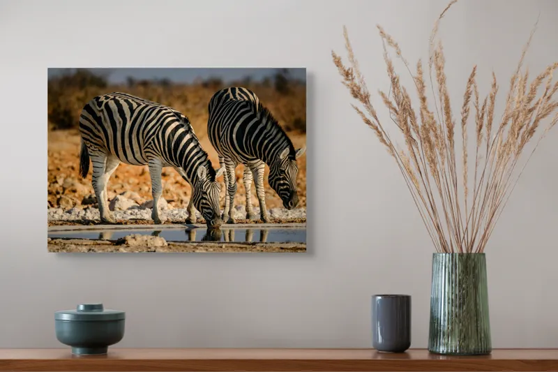 Tablou Canvas, "Zebre la adăpat în savană", Dungi, Zebre, Apă, Oglindire, Serenitate, Natură, Armonie, Safari, Africa, Asfințit, 54 x 39 cm – poza 4