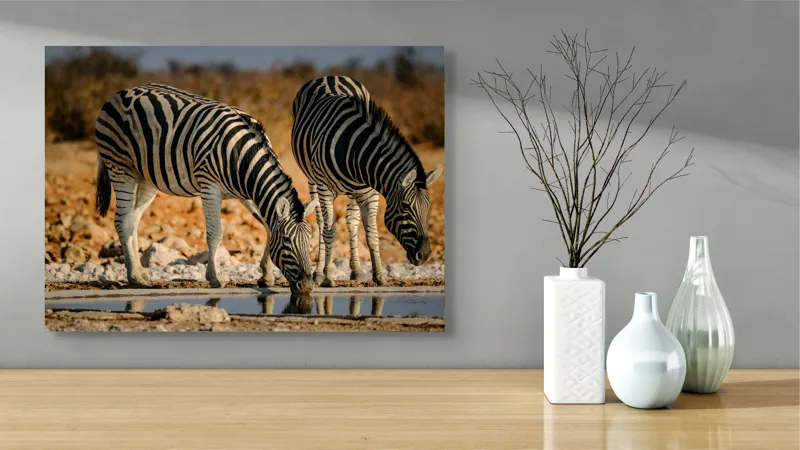 Tablou Canvas, "Zebre la adăpat în savană", Dungi, Zebre, Apă, Oglindire, Serenitate, Natură, Armonie, Safari, Africa, Asfințit, 70 x 50 cm – poza 3