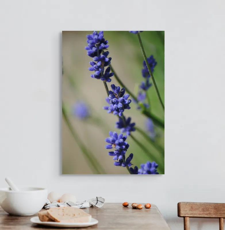 Tablou Canvas, "Flori de lavandă în soarele verii", Flori, Mov, Lavandă, Natură, Verde, Prim-plan, Delicat, Frumusețe, Aromatic, Textură, 50 x 70 cm – poza 3