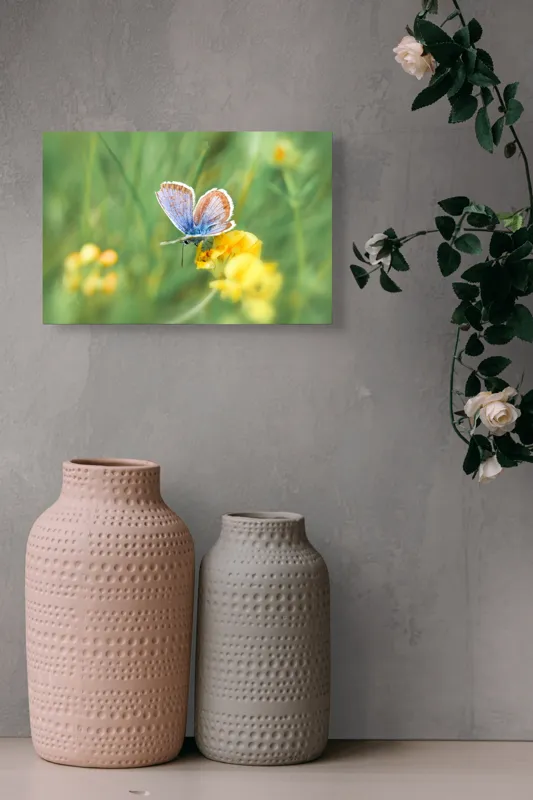 Tablou Canvas, "Fluture albastru pe floare galbenă", Fluture, Albastre, Fragile, Aripi, Floare, Galbenă, Verde, Natură, Delicatețe, Primăvară, 39 x 26 cm – poza 4