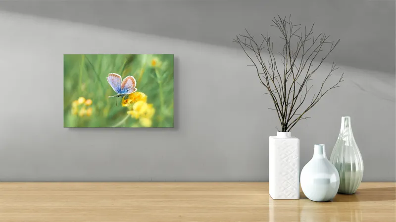 Tablou Canvas, "Fluture albastru pe floare galbenă", Fluture, Albastre, Fragile, Aripi, Floare, Galbenă, Verde, Natură, Delicatețe, Primăvară, 39 x 26 cm – poza 8
