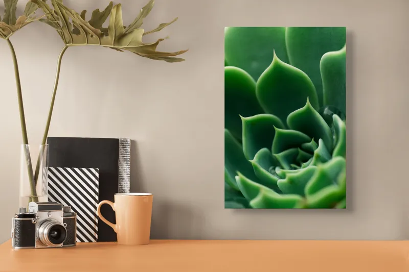 Tablou Canvas, "Frumusețea verde a naturii succulente", Verde, Succulentă, Frunze, Geometrie, Natură, Textură, Vitalitate, Simetrie, Design, 26 x 39 cm – poza 3