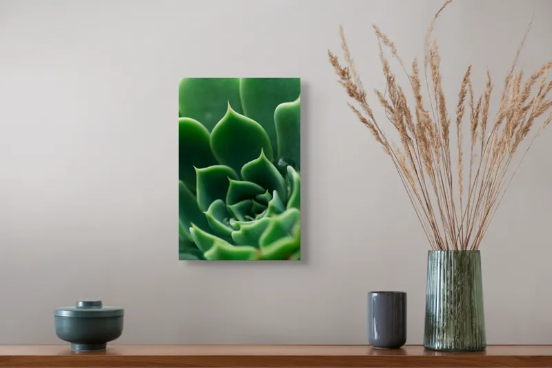 Tablou Canvas, "Frumusețea verde a naturii succulente", Verde, Succulentă, Frunze, Geometrie, Natură, Textură, Vitalitate, Simetrie, Design, 26 x 39 cm – poza 5