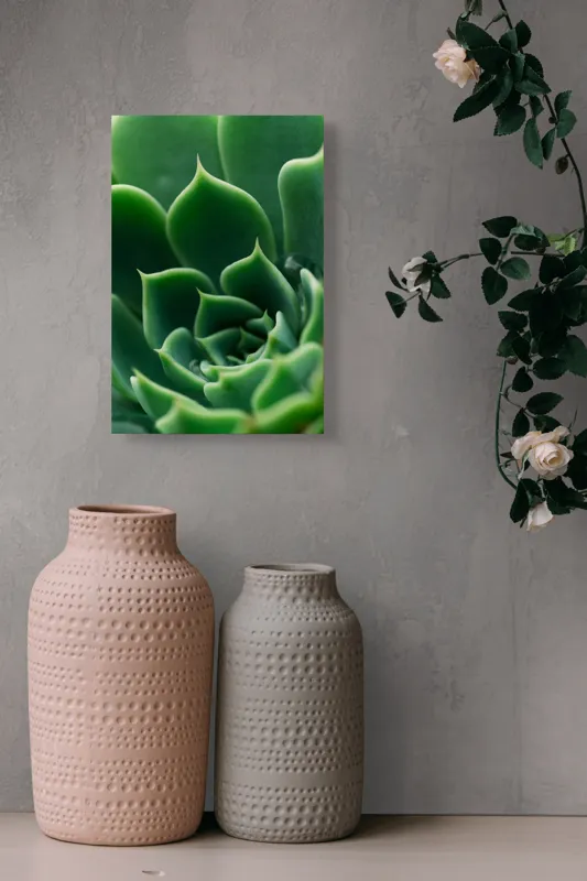 Tablou Canvas, "Frumusețea verde a naturii succulente", Verde, Succulentă, Frunze, Geometrie, Natură, Textură, Vitalitate, Simetrie, Design, 26 x 39 cm – poza 6