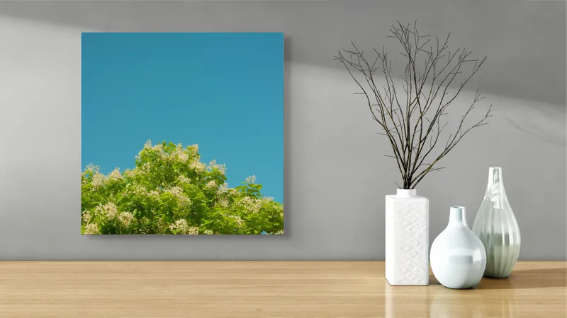 Tablou Canvas, "Înflorirea copacului sub cerul albastru", Flori, Frunze, Cer, Azuriu, Natură, Primăvară, Plante, Verdeață, 50 x 50 cm – poza 3