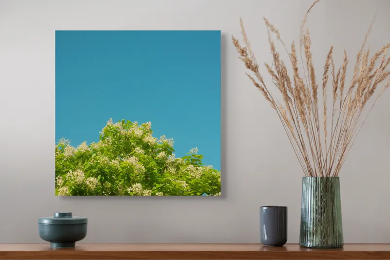 Tablou Canvas, "Înflorirea copacului sub cerul albastru", Flori, Frunze, Cer, Azuriu, Natură, Primăvară, Plante, Verdeață, 50 x 50 cm – poza 4