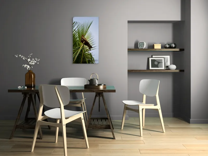 Tablou Canvas, "Vultur pe ramura de palmier", Vultur, Frunze, Crengi, Cer, Pasăre, Natură, Verde, Copac, 50 x 90 cm – poza 4