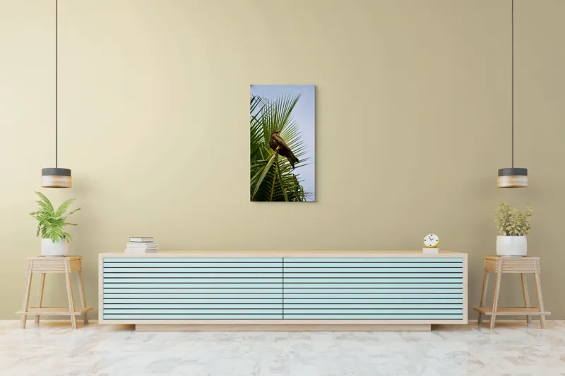 Tablou Canvas, "Vultur pe ramura de palmier", Vultur, Frunze, Crengi, Cer, Pasăre, Natură, Verde, Copac, 50 x 90 cm – poza 6