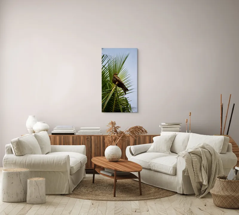 Tablou Canvas, "Vultur pe ramura de palmier", Vultur, Frunze, Crengi, Cer, Pasăre, Natură, Verde, Copac, 50 x 90 cm – poza 7