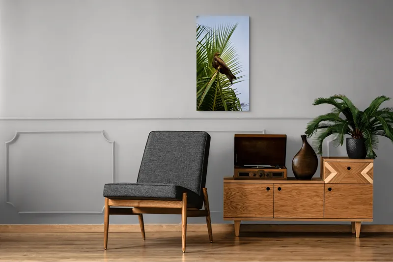 Tablou Canvas, "Vultur pe ramura de palmier", Vultur, Frunze, Crengi, Cer, Pasăre, Natură, Verde, Copac, 50 x 90 cm – poza 8