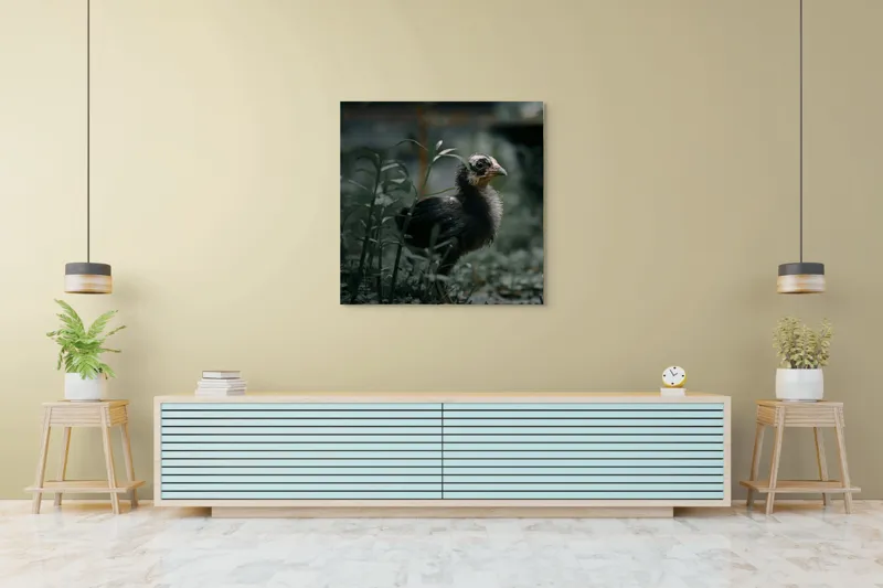 Tablou Canvas, "Pui de găină printre ierburi verzi", Pui, Verdeață, Umbră, Natură, Privire, Plante, Curiozitate, Tăcere, 100 x 100 cm – poza 5