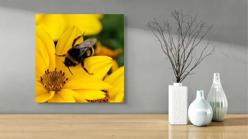 Tablou Canvas, "Albina harnică pe floarea galbenă", Albina, Floare, Galben, Polen, Natură, Delicatețe, Viață, Viu, Zgomot, Zburătoare, 50 x 50 cm – poza 3