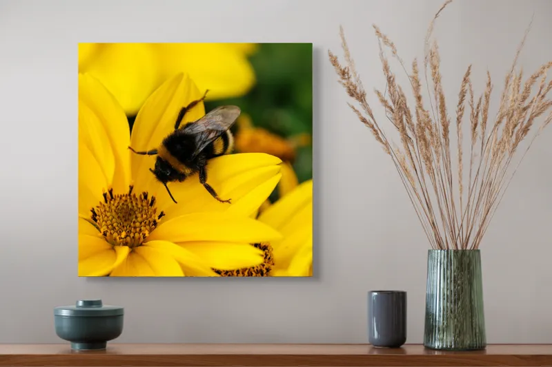 Tablou Canvas, "Albina harnică pe floarea galbenă", Albina, Floare, Galben, Polen, Natură, Delicatețe, Viață, Viu, Zgomot, Zburătoare, 50 x 50 cm – poza 4