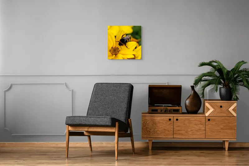 Tablou Canvas, "Albina harnică pe floarea galbenă", Albina, Floare, Galben, Polen, Natură, Delicatețe, Viață, Viu, Zgomot, Zburătoare, 50 x 50 cm – poza 6